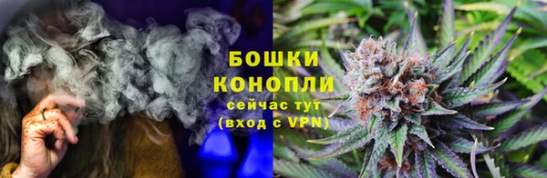 спиды Арсеньев