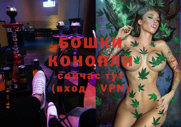 спиды Арсеньев