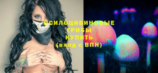 спиды Арсеньев
