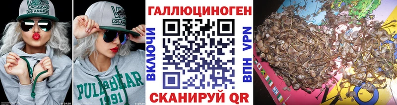 Псилоцибиновые грибы мицелий  Белозерск 